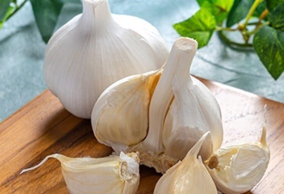 فواید مصرف روزانه سیر