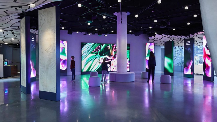 معرفی بهترین نمایشگر های دات پیچ | پرواستور